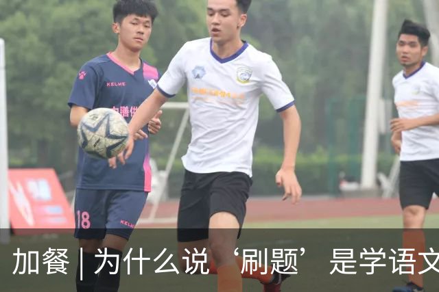 加餐 | 为什么说‘刷题’是学语文最绕的路？